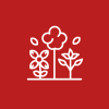 Presentazione-media-communication-sas-Copia-2.png